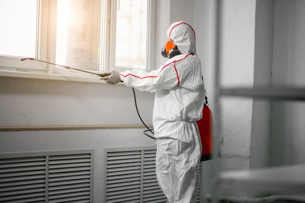 Professional mold remediation services in Pittsboro, IN